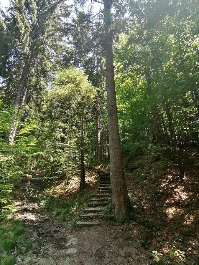 Petkovi Аpartments, Borovets Gardens - One-Bedroom And Two-Bedroom Apartments Ngoại thất bức ảnh
