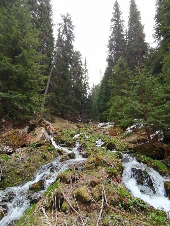 Petkovi Аpartments, Borovets Gardens - One-Bedroom And Two-Bedroom Apartments Ngoại thất bức ảnh