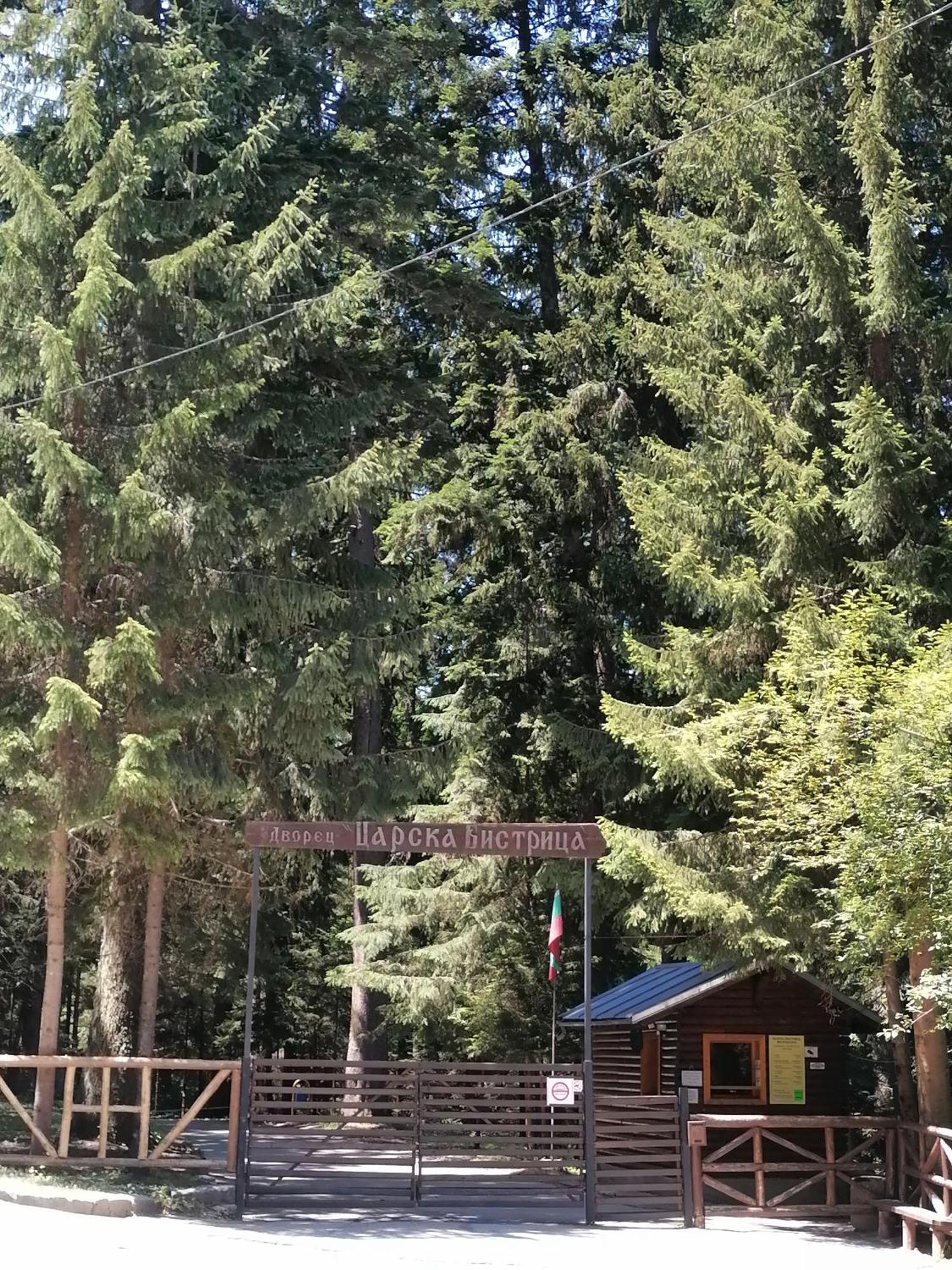 Petkovi Аpartments, Borovets Gardens - One-Bedroom And Two-Bedroom Apartments Ngoại thất bức ảnh
